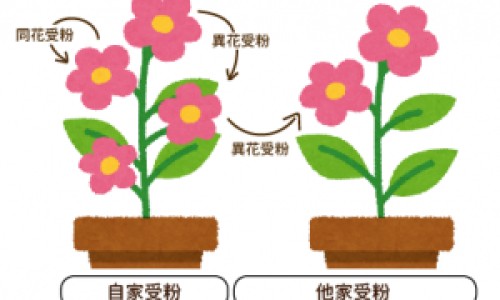 钙镁锌片和钙片的区别是什么-钙镁锌片和钙片的区别在哪里-钙镁锌同补效果好吗,中国钙镁锌片和钙片的区别网站