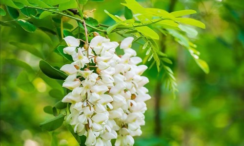 钙镁锌一起吃好吗-钙镁锌片和钙片的区别在哪里-钙镁锌同补效果好吗,中国钙镁锌片和钙片的区别网站