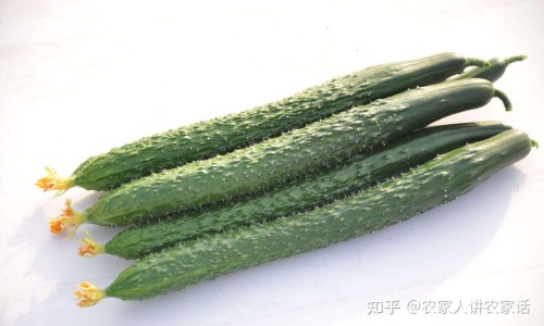 钙镁锌一起吃好吗-钙镁锌片和钙片的区别在哪里-钙镁锌同补效果好吗,中国钙镁锌片和钙片的区别网站