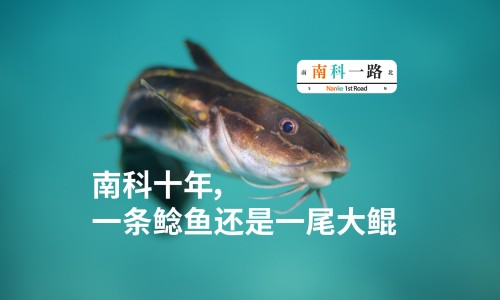 钙镁锌和单独补钙哪个好-钙镁锌片和钙片的区别在哪里-钙镁锌同补效果好吗,中国钙镁锌片和钙片的区别网站